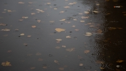 Сильный дождь прогнозируют на Ставрополье 26 октября