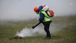 Особый противопожарный режим введут на Ставрополье с 1 июля