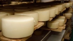 Ставропольские предприятия на треть нарастили производство сыров