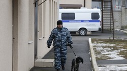Житель Ставрополья под видом сотрудника ФСБ вымогал 2,7 млн рублей