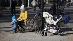 Ставропольские семьи чаще всего направляют средства маткапитала на улучшение жилищных условий