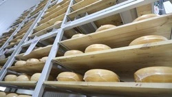 Выпуск продукции пищепрома нарастили на Ставрополье на 12%