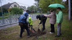 Более 100 саженцев высадили в Невинномысске