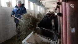 На Ставрополье к концу 2022 года зарегистрировано 105 тыс. самозанятых