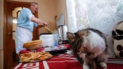 На Ставрополье за последние 10 лет мужчины стали чаще участвовать в домашних делах