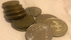 Коллекционер из Ставрополя предложил выпустить монеты в поддержку армии России