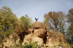 Голосование определило тройку объектов-лидеров, которые представят Ставрополье на выставке «Россия» на ВДНХ