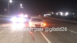 Пешеход погиб под колёсами иномарки вблизи Невинномысска