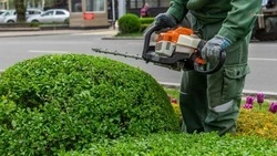 Губернатор Ставрополья распорядился продолжать благоустройство Кавминвод на средства курортного сбора