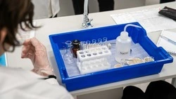 Студенты Невинномысска заняли четыре награды на чемпионате «Профессионалы»