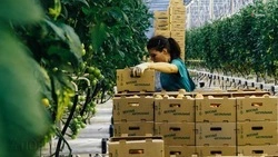 Новая программа позволит экспортёрам Ставрополья проще реализовывать продукцию