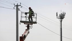 Свыше 400 птицезащитных устройств установили на ЛЭП Ставрополья