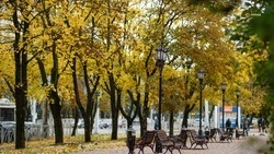 Вероятность дождей сохранится на Ставрополье до 17 ноября