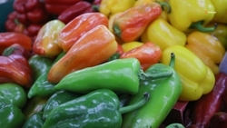 На 10% выросло производство продуктов питания на Ставрополье