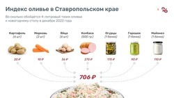 Индекс оливье на Ставрополье в текущем году составил 706 рублей
