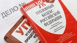 Дело о травмировании школьника в лагере «Гренада» взял под личный контроль Александр Бастрыкин