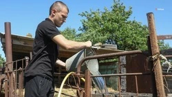 Около половины от общего числа соцконтрактов на Ставрополье заключили в 2022 году