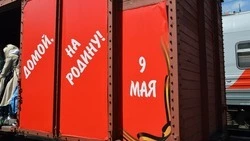 Акция «Бессмертный полк» на Ставрополье пройдёт в альтернативных форматах