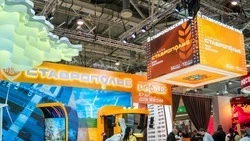 Свыше тонны продукции со Ставрополья продали на столичной ярмарке