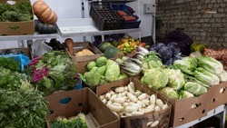 Мониторинг овощных цен проведут на Ставрополье по поручению губернатора Владимирова