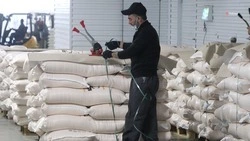 Ставрополье экспортировало продукцию на 1,9 млрд долларов