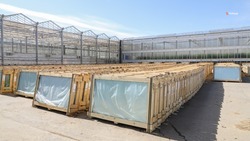 Землю для строительства теплицы выделили в Невинномысске