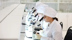 Кадры нового качества для наукоёмкого молочного животноводства начнут готовить на Ставрополье
