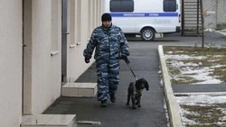 Жителя Невинномысска подозревают в попытке сбыта синтетического наркотика