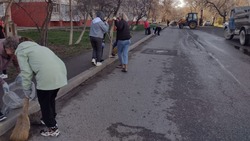 Более 60 тыс. человек поучаствовали в субботнике в Невинномысске