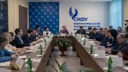 В Невинномысске обсудили вопросы экологической безопасности
