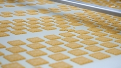 Семь проектов в сфере пищевой промышленности реализуют на Ставрополье