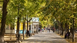 На трёх территориях Ставрополья появятся новые региональные парки