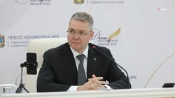 Губернатор Владимиров: Большая весенняя уборка запланирована на Ставрополье