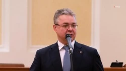 Глава Ставрополья отметил роль федеральной поддержки в сохранении экономики края