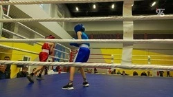 Краевые соревнования по кикбоксингу «Кубок Победы» прошли в Невинномысске