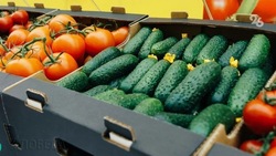 Свыше тысячи тонн овощей отправили со Ставрополья за рубеж