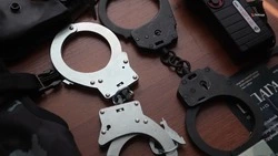 В Невинномысске задержали подозреваемого в серийных кражах из автомобилей