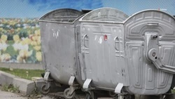 В минЖКХ Ставрополья разъяснили нормы оплаты за вывоз мусора