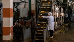 Девять ставропольских предприятий пищепрома получили компенсацию затрат на покупку оборудования