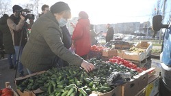 Количество точек нестационарной торговли планируют увеличить на Ставрополье