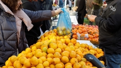 Предновогодняя ярмарка проходит в Невинномысске на площади перед ДК Химиков