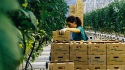 Экспорт ставропольской продукции химпрома и AПК вырос на 62%