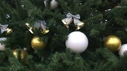 Жители Невинномысска поздравили детей из Запорожской области