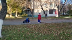 В Невинномысске прошёл Экодень