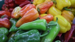 На 10% выросло производство продуктов питания на Ставрополье