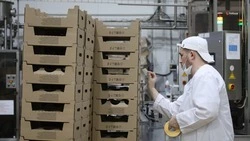 Ставрополье на 7% нарастило экспорт продукции собственного производства