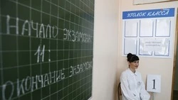 В школах Ставрополья с 1 сентября следующего года введут единую модель профориентации