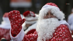 Более 140 тыс. учеников начальных классов получат сладкие угощения к Новому году на Ставрополье