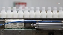 Экспорт молочной продукции вырос на Ставрополье в 6,5 раза