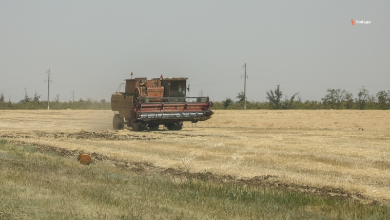 Аграрии Ставрополья получат господдержку на развитие 